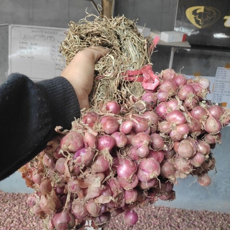 

bawang merah daunan ukuran sedang campur 1kilo gram (AU)