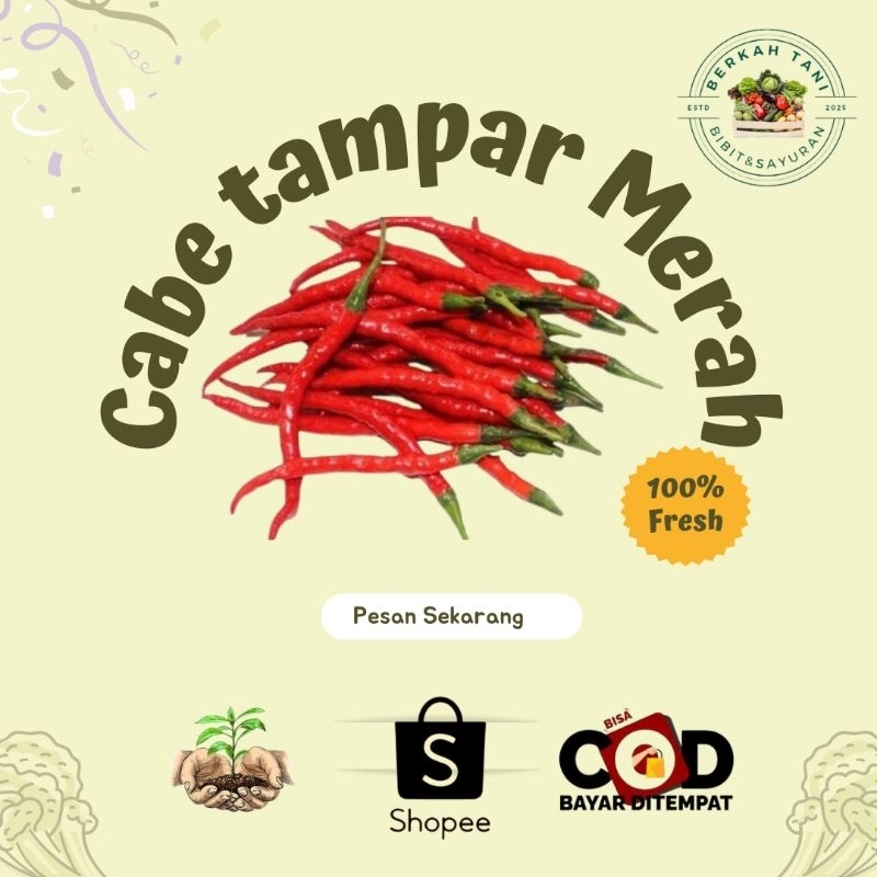 

BERKAH_TANI Cabe kriting merah
