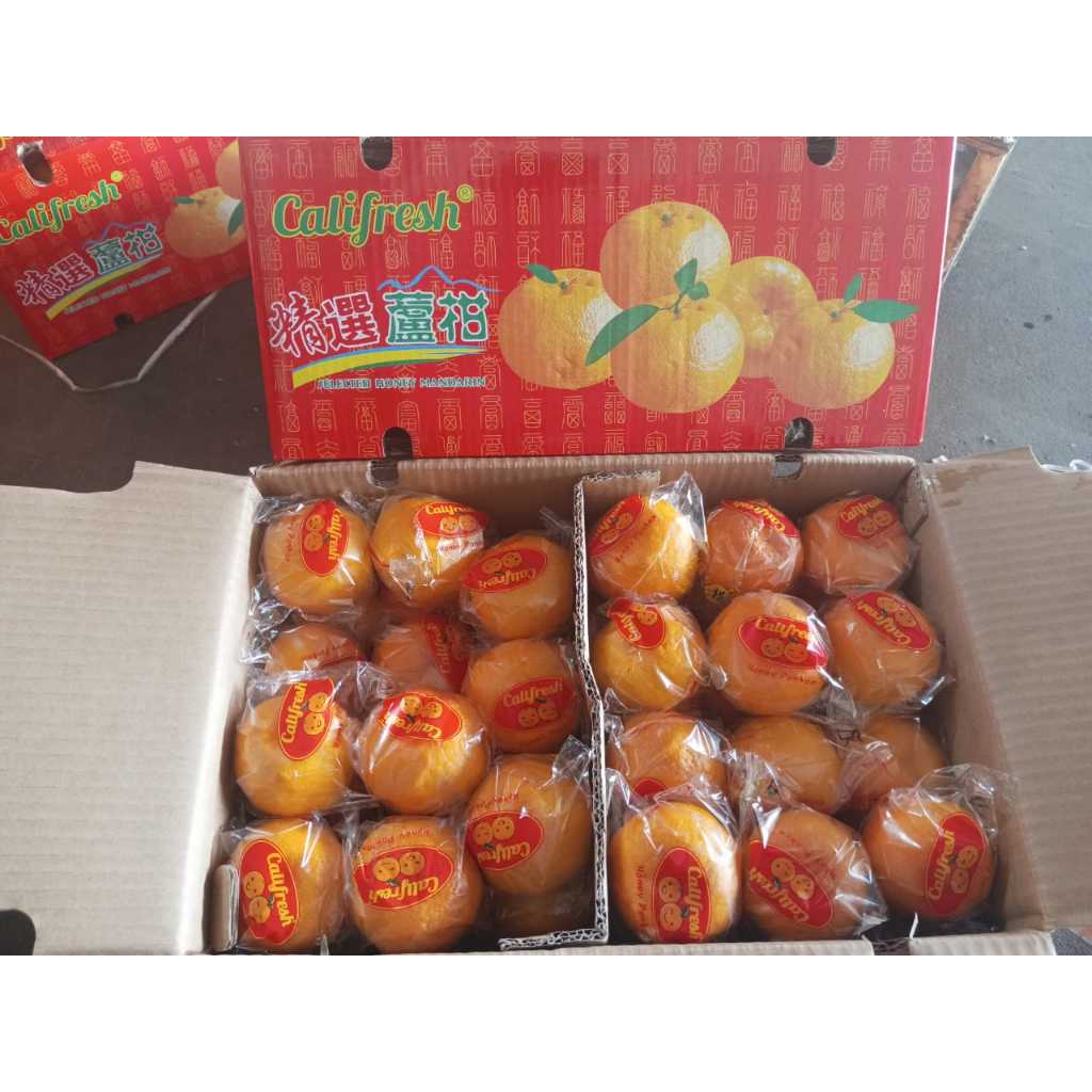 

Jeruk Ponkam Dus Curah 9 KG (BOX)