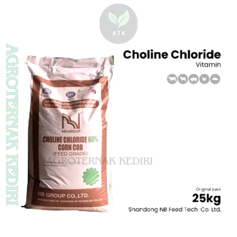 Cholin Chloride 25 kg-Vitamin Klorida Kolin