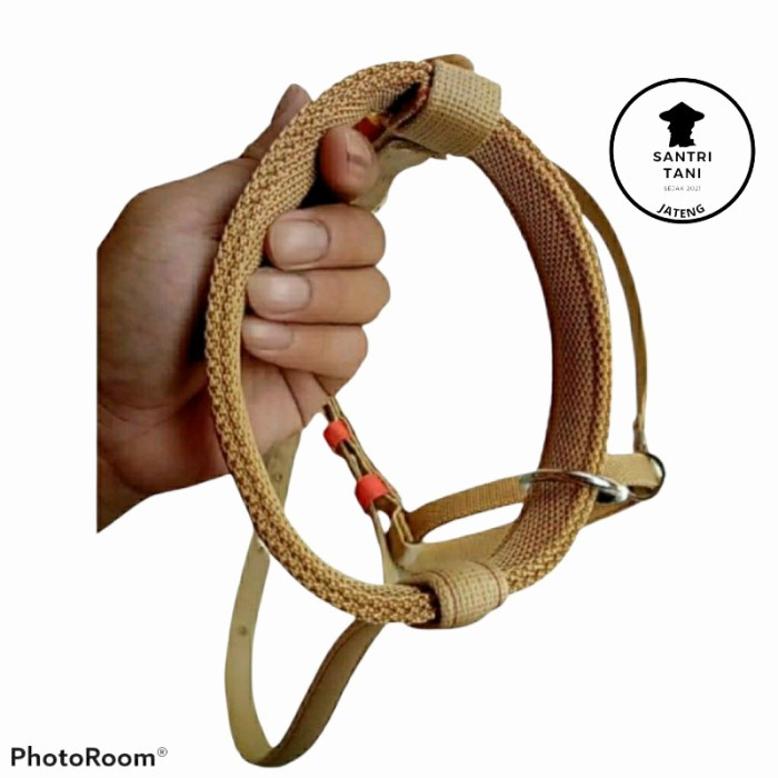 Tali Brangus Keluh Kepala Sapi Anakan TALI SAPI / HALTER SAPI / BRANGUS SAPI / KELUH SAPI / TALI PED