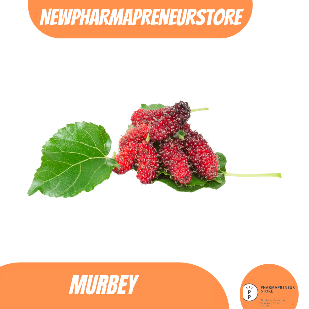 

EKSTRAK BUAH MURBEY BEST QUALITY