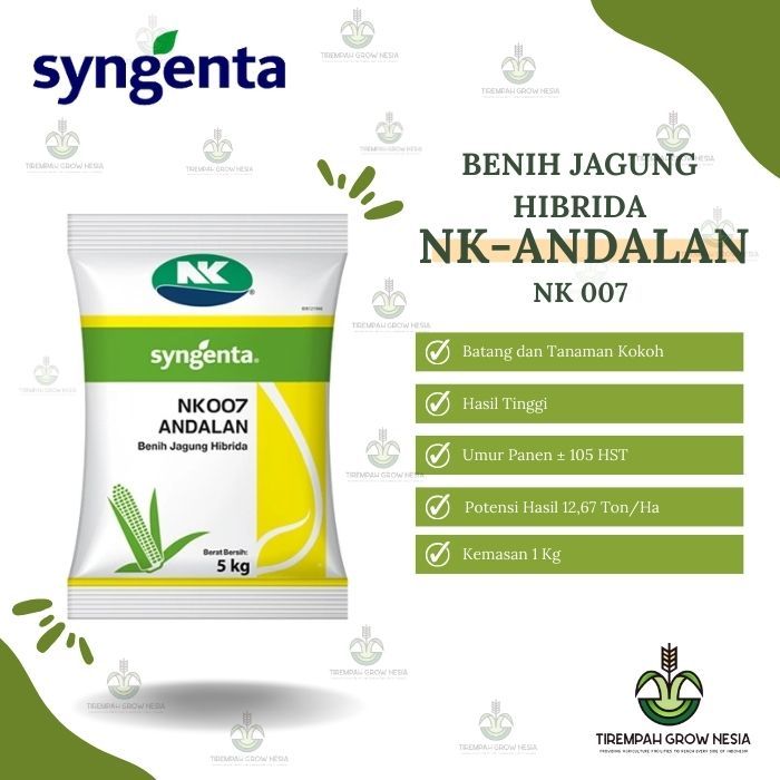 BENIH JAGUNG NK ANDALAN NK 007 JAGUNG HIBRIDA JAGUNG ANDALAN JAGUNG GROSIR