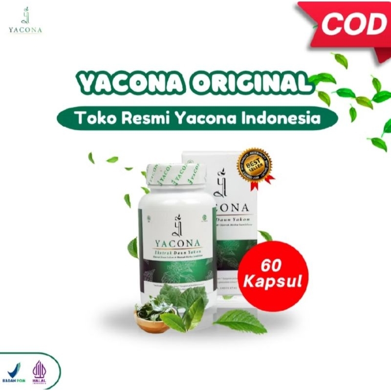 YACONA 60 Kapsul