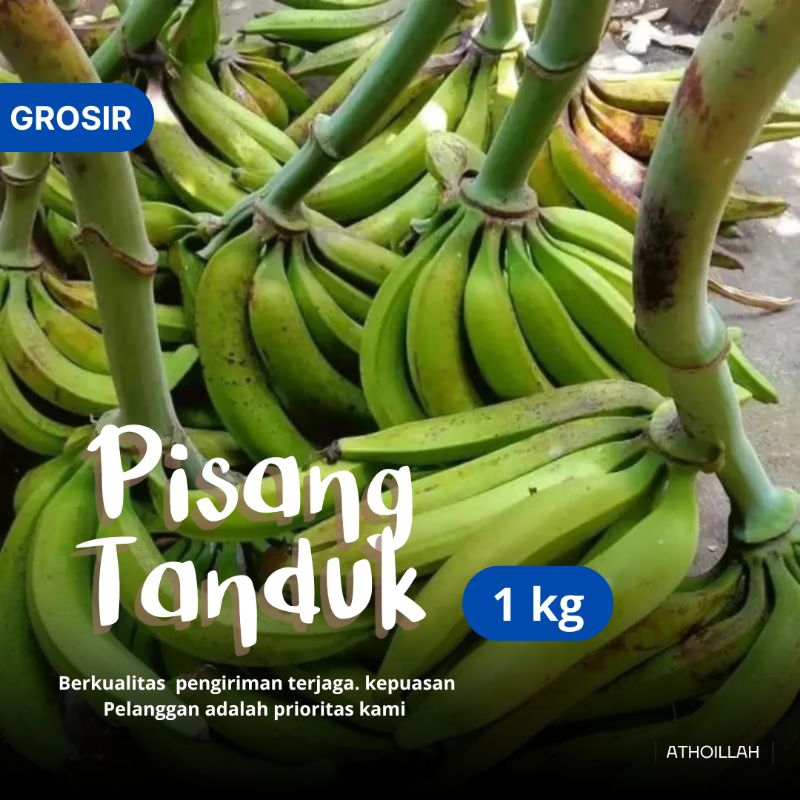 

Pisang Tanduk Pisang Goreng 1 kg