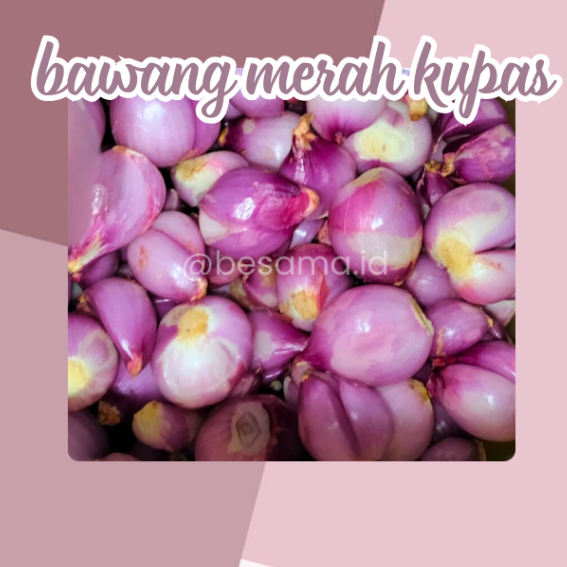 

Bawang Merah Kupas 500gr