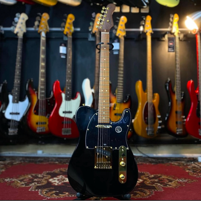 Fena TL Blackbeauty guitar