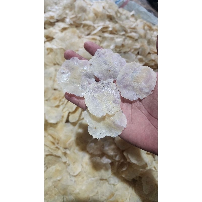 

empinh melinjo aceh pidie