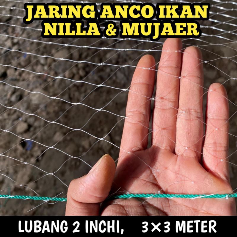 Jaring anco 3×3 meter lubang 2 inchi senar 0,30 / Branjang  ikan nilla