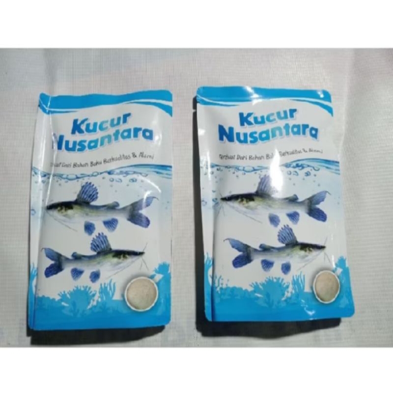 umpan KUCUR ikan baung.. KUCUR NUSANTARA..