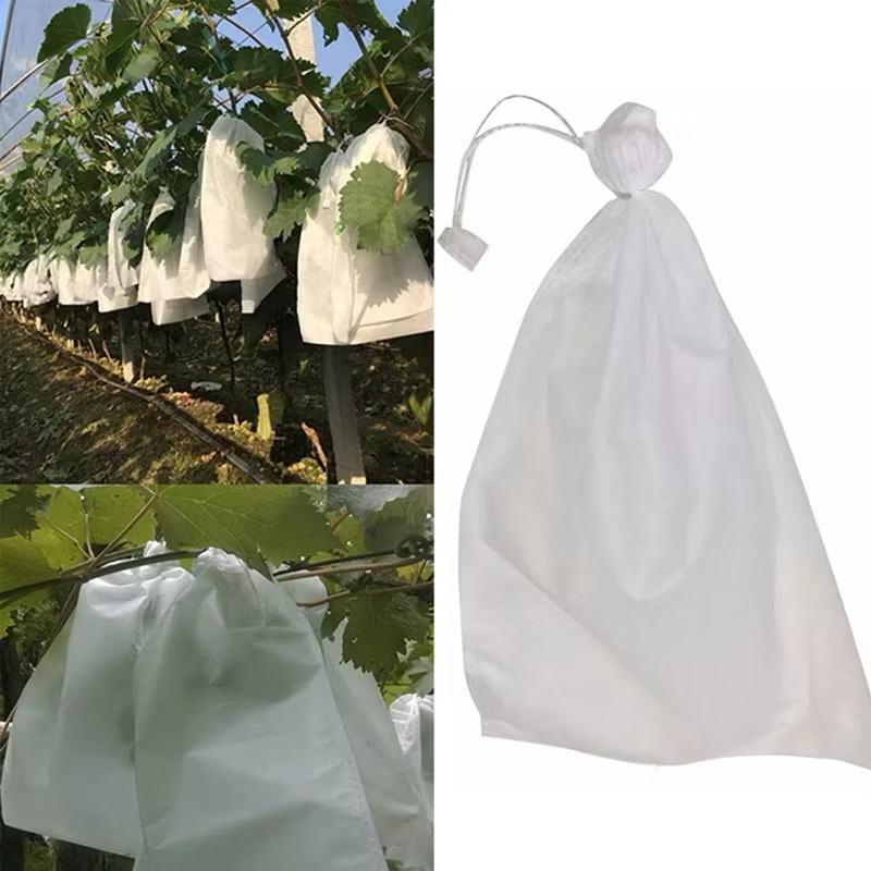 Pembungkus Buah Tembus Pandang Fruit Cover Transparan Waterproof