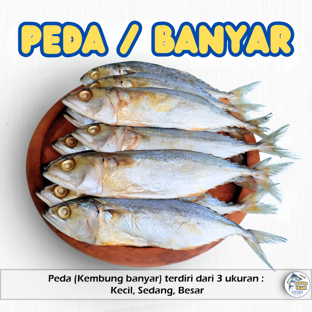 

PEDA KERING ASIN / KEMBUNG BANYAR ASIN PREMIUM TERMURAH 100/250/500 gram