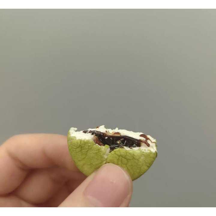 

RB Ovaltine Marshmallow Import Matcha Chocolate Filling 90 Gram