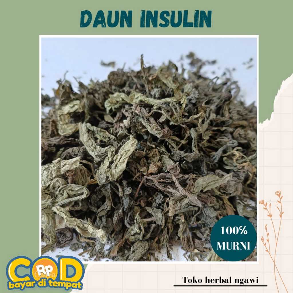 

Daun Insulin Kering