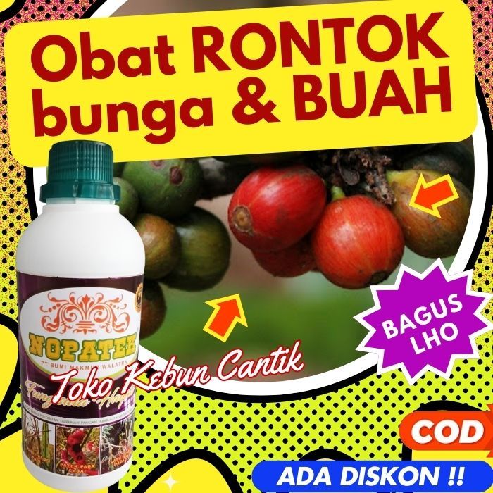 Nopatek 500ml Obat Rontok Bunga & Buah – Efektif untuk Durian, Mangga, Tomat, Jambu, Anggur, Nangka,