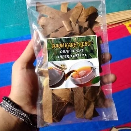 

Daun Karet Kebo Ekstrak Obat Stroke Dan Hipertensi dll 20 Gram