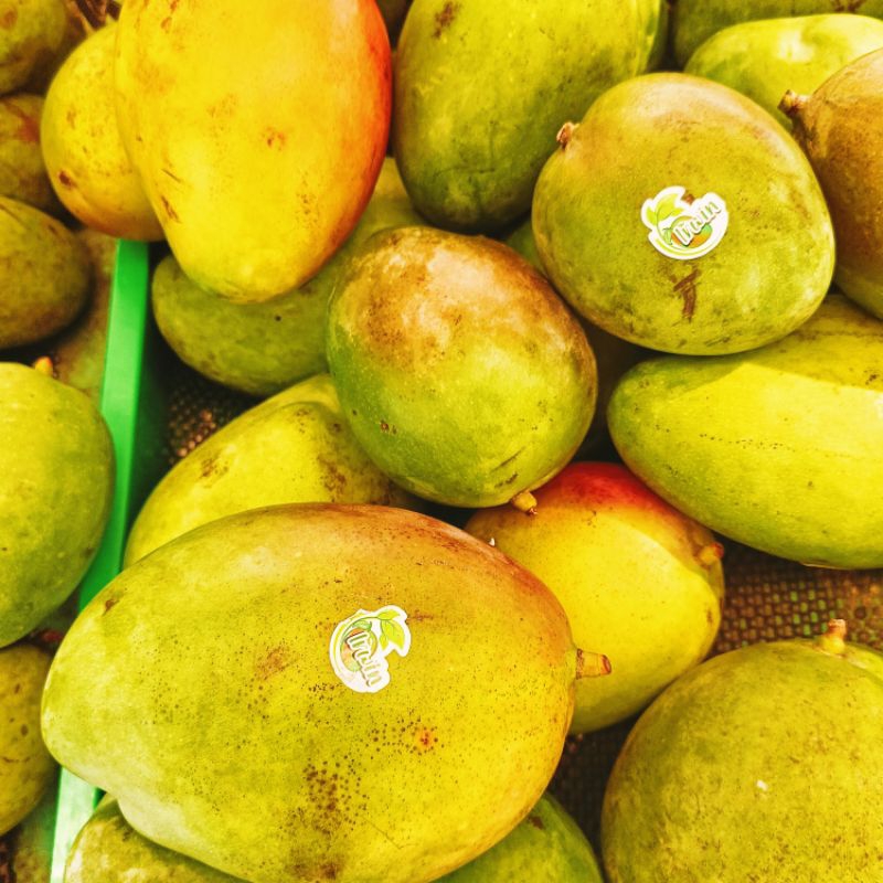 

Mangga Irwin 1kg + Kardus Kemasan Paket Buah Segar Ibaza fruitsBOX
