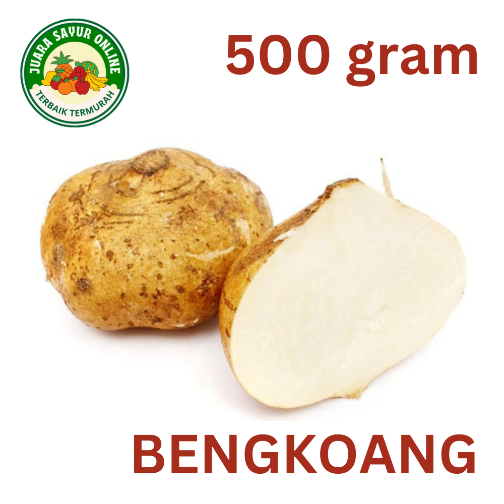 

(FRESH) Bengkoang Premium Segar 1 kg