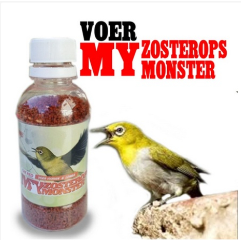 voer red zomo voer pleci , voer harian dan lomba burung pleci