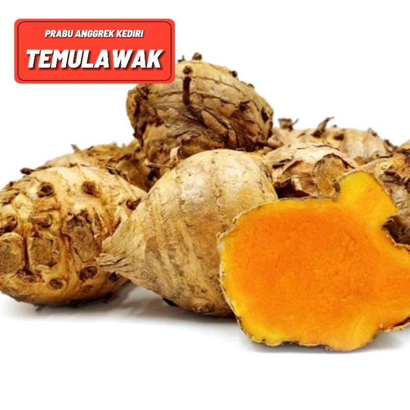 

TEMULAWAK FRESH 1 KG