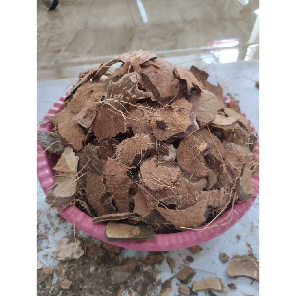 

BATOK KELAPA KERING BAHAN BAKAR BBQ