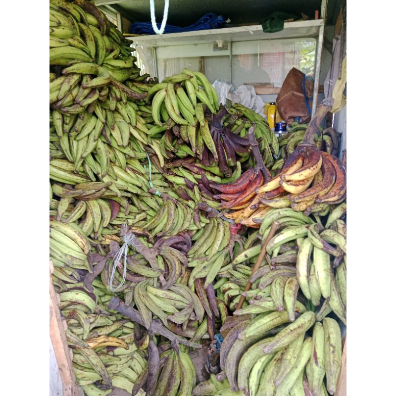 

PISANG TANDUK MADU super per 1kg (di kirim mentah)