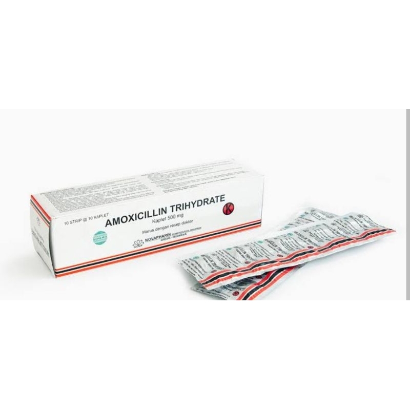 AMOXICILLIN 500MG 1 BOX 100 CAPSUL