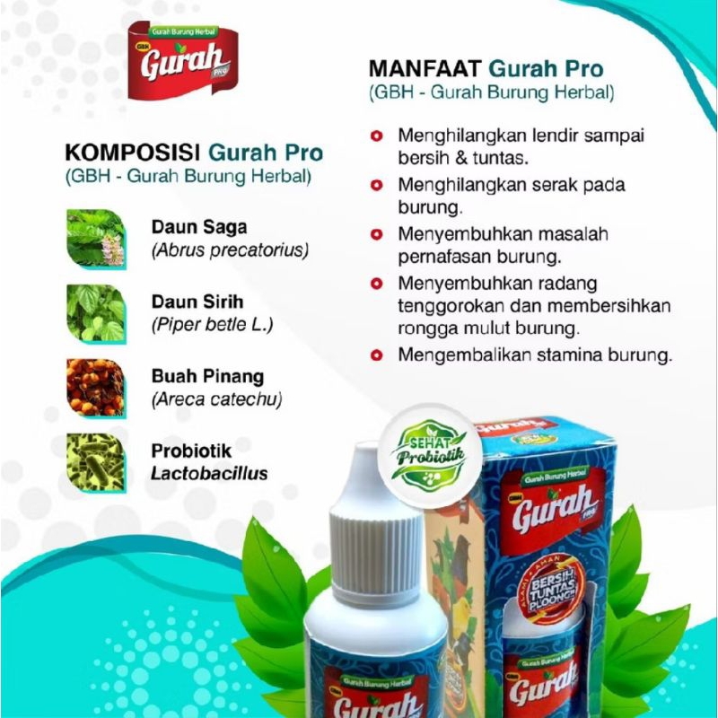 GURAH PRO HERBAL ALAMI GURAH BURUNG ATASI MACET BUNYI SERAK DAN PERAWATAN NAFAS BURUNG