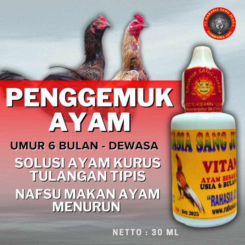 VITAMIN PENGGEMUK AYAM BANGKOK 6 Bulan - Dewasa - AYAM CEPAT BESAR isi 30 ml