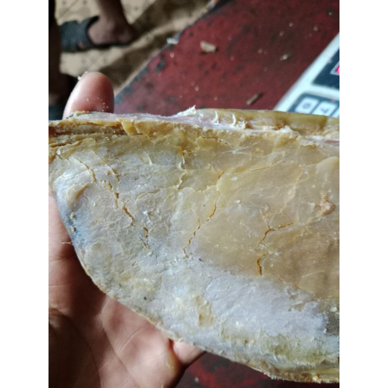 

asin jambal roti, daging jamal 100gr mang sayur