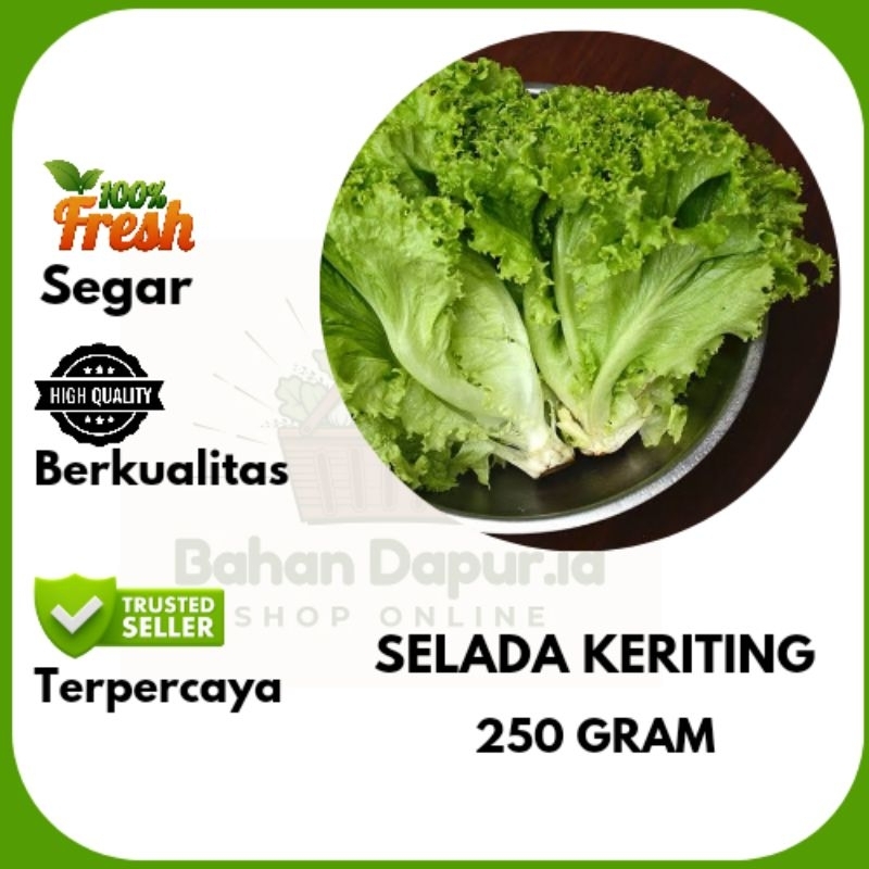 

SELADA KERITING | 250 GRAM | Bahan Dapur id