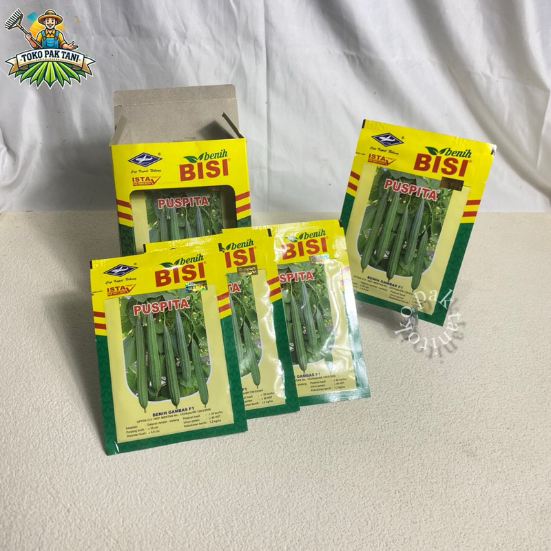 Benih Gambas Oyong Puspita F1 10 Gram Cap Kapal Terbang