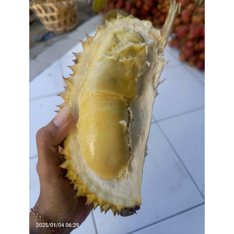 

Durian Asli Bali Boom