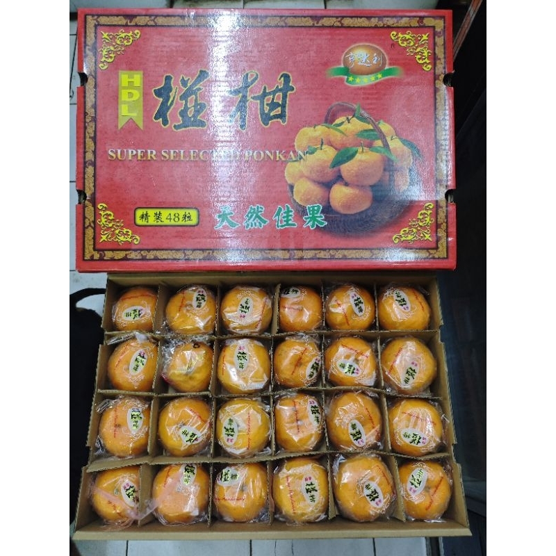 

jeruk ponkam HDL medium 1kg (6buah)