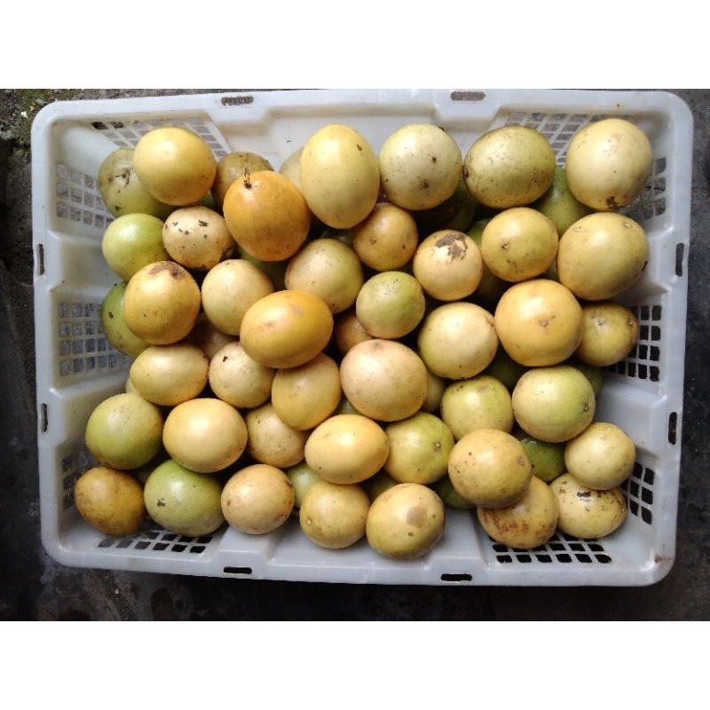 

Markisa Kuning segar | 1kg