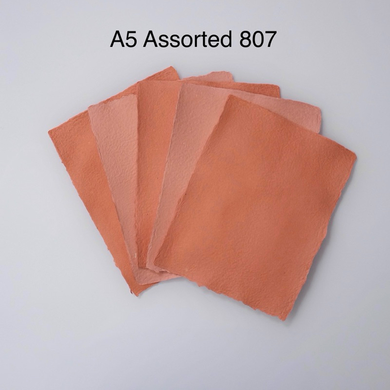 

A5 Assorted 807