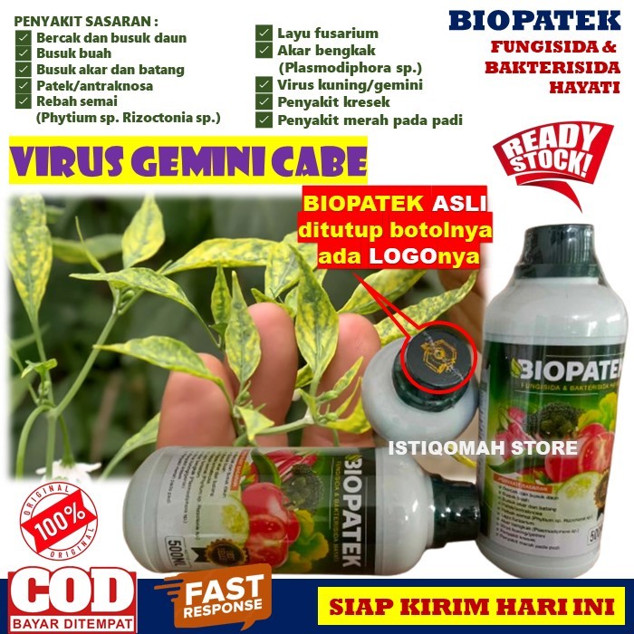 BIOPATEK 500ML Fungisida Hayati Obat Hama Virus Gemini Cabe, Pengendali Pucuk Daun Kekuningan, Anti 