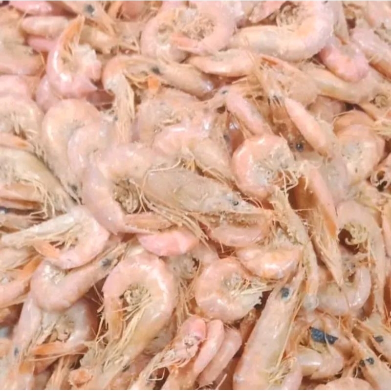 

udang kering