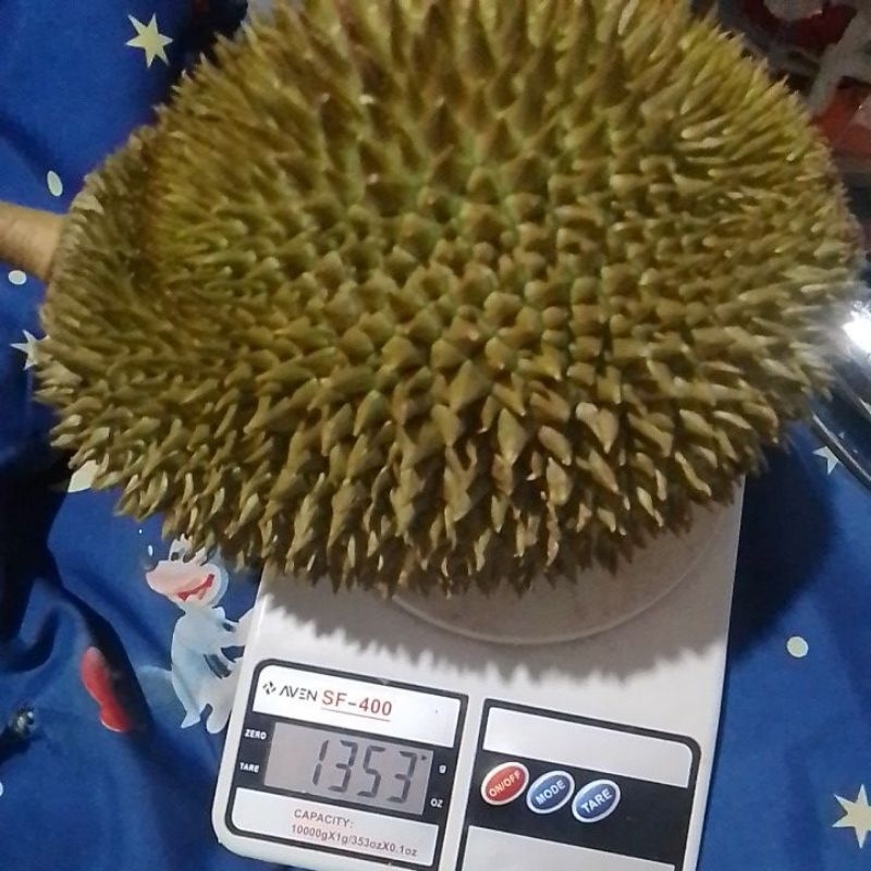 

durian lokal