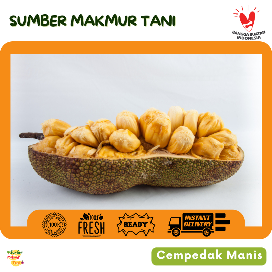 

Cempedak Segar / Buah Cempedak Premium – Rasa Manis, Aroma Harum, Kualitas Petani Lokal