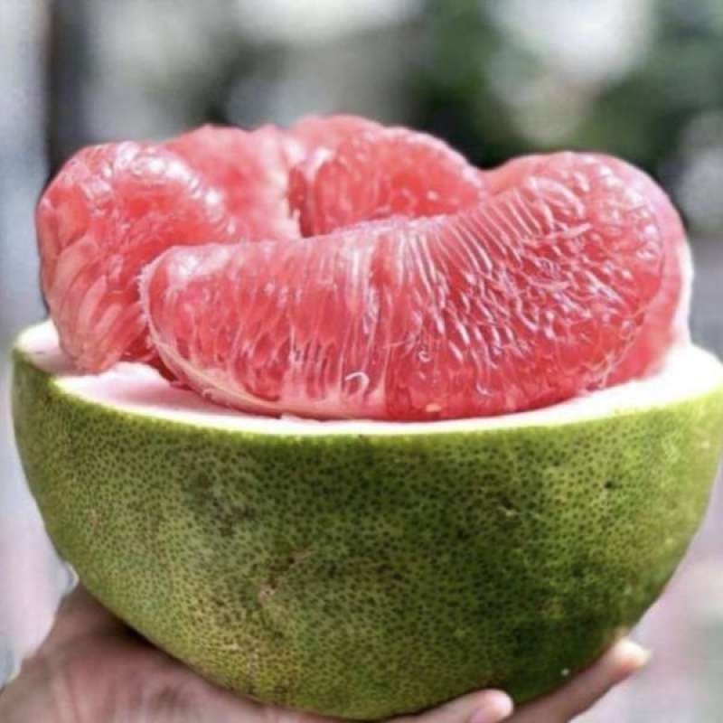 

Jeruk Bali Kupas - 400g