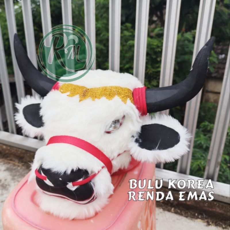 banteng bulu korea