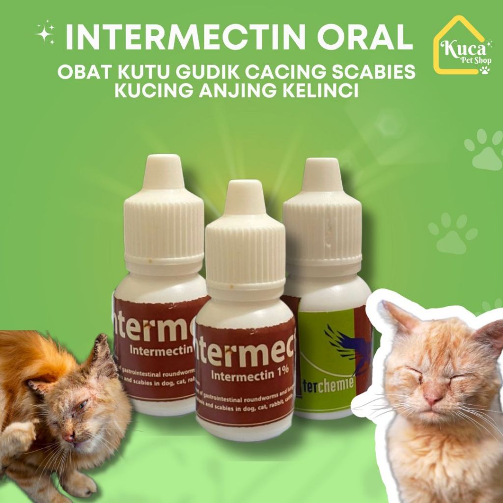 Intermectin Oral 10 Ml Obat Kutu Gatal Gudik Cacing Scabies Kucing Anjing Kelinci