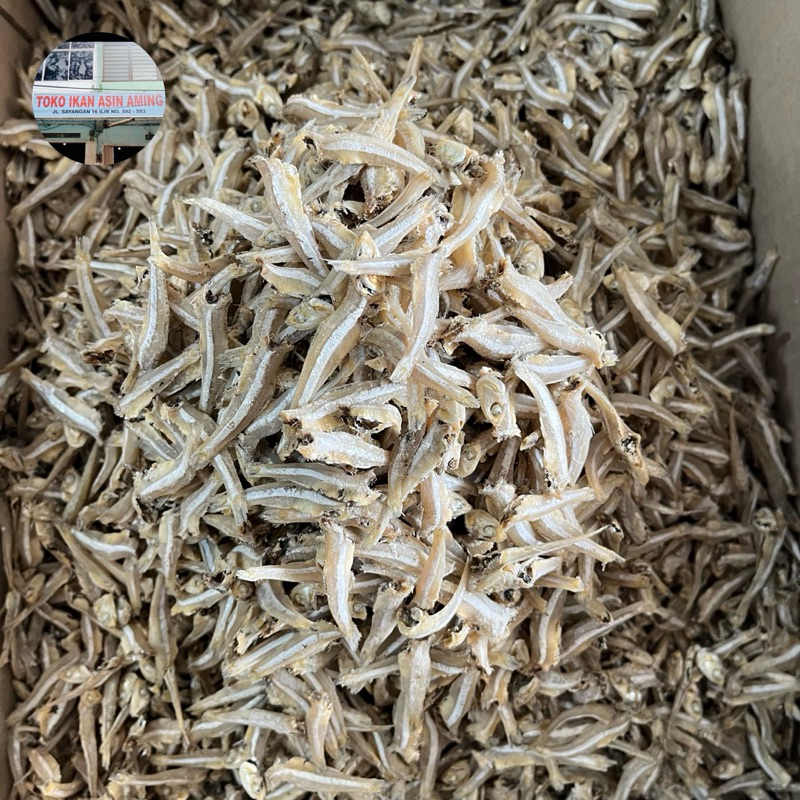 

Ikan Teri Jengki Putih Super