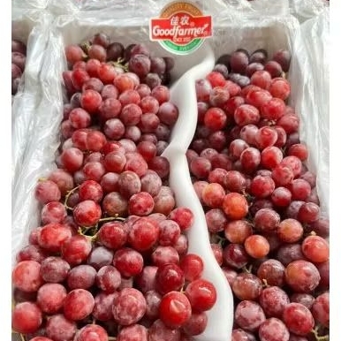 

Anggur Red Globe Good Farmer Jual Per 1 BOK Krat