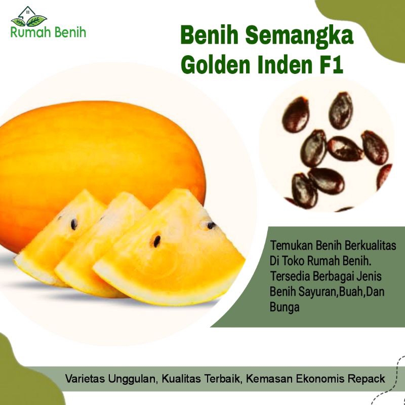 Benih Buah Semangka Kuning Golden Inden F1 / Bibit Benih Semangka Kuning / Biji Benih Semangka Golde