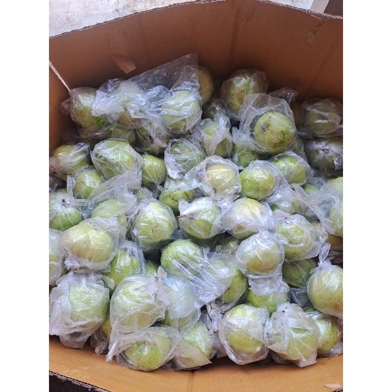 

jambu kristal grade b
