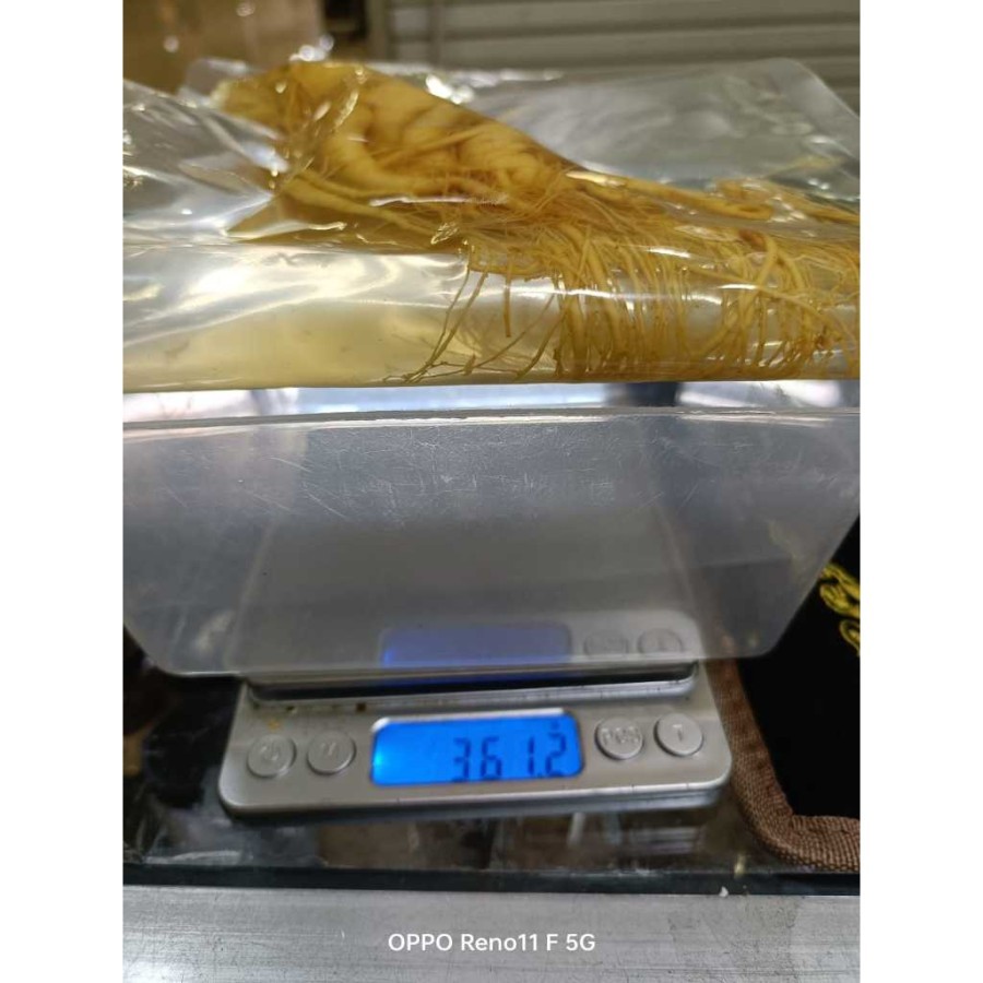 

FRESH GINSENG / GINSENG BASAH / GINSENG SEGAR JUMBO