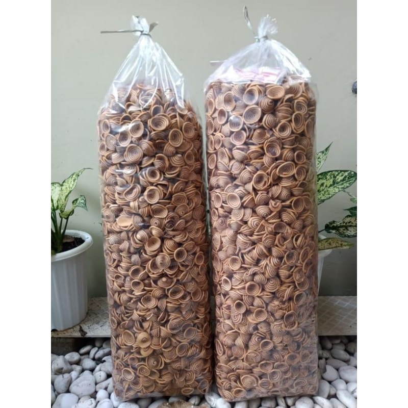 

PROMO SNACK KUPING GAJAH KUPINGAN CONTONG KEMASAN 1 KILOGRAM HARGA TERMURAH BEST SELLER