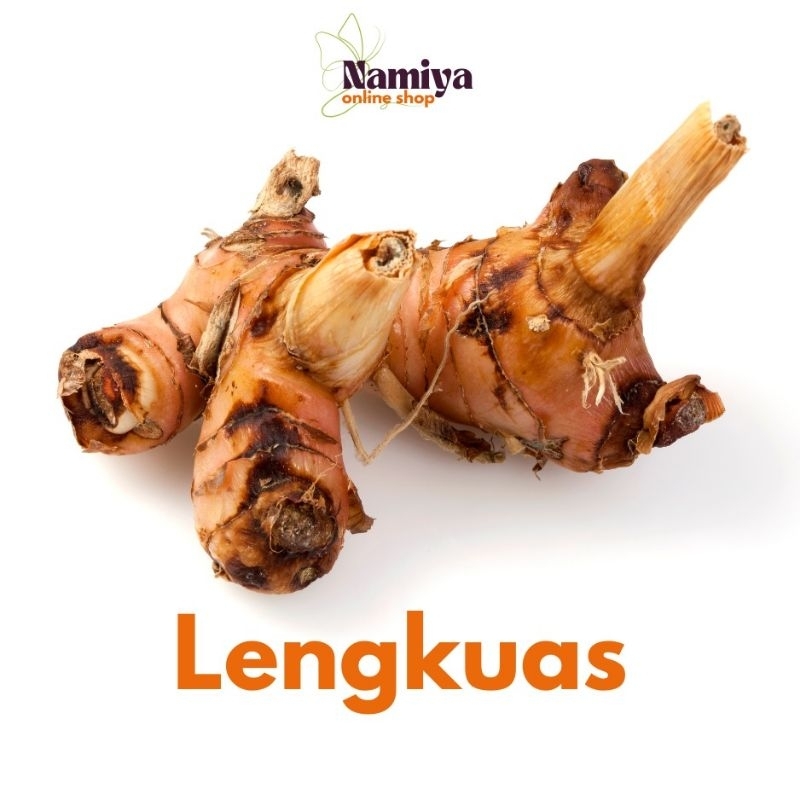 

Lengkuas / Laos Segar 100gr